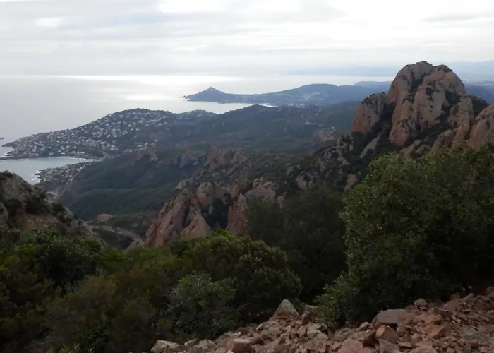 Esterel Terrasses, front de mer, vélos, yoga, Suquet Forville