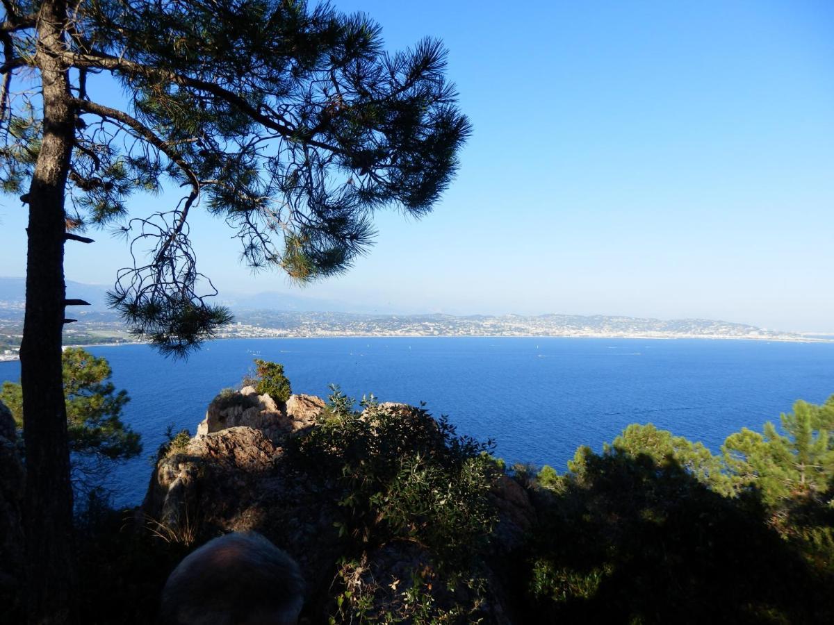 Esterel Terrace, Beach Front, View, Bike, Yoga Cannes