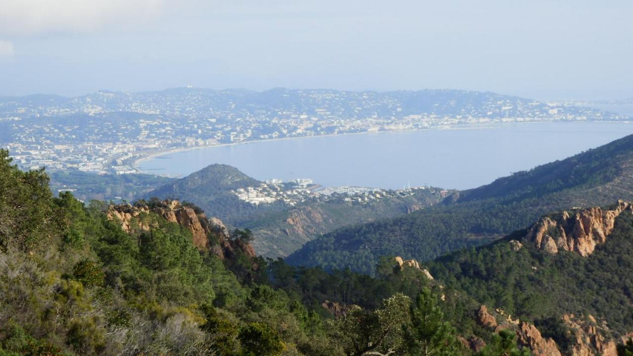 Apartment Esterel Terrace, Beach Front, View, Bike, Yoga Cannes