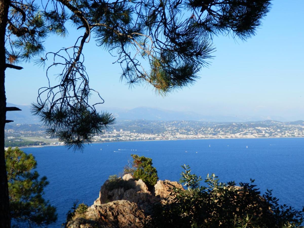 Esterel Terrace, Beach Front, View, Bike, Yoga