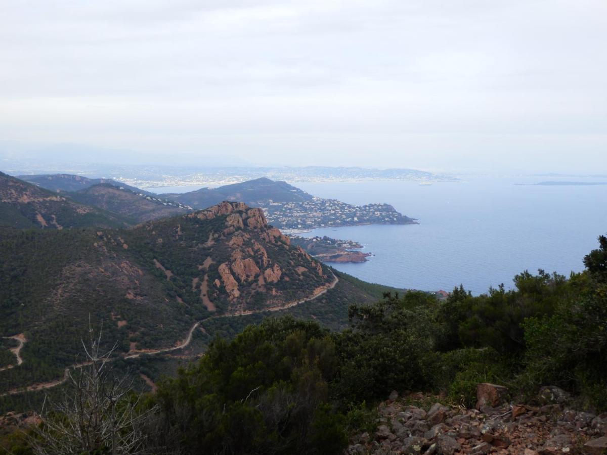 Esterel Terrace, Beach Front, View, Bike, Yoga Apartment *