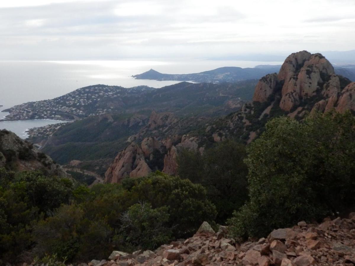 Esterel Terrace, Beach Front, View, Bike, Yoga Apartment